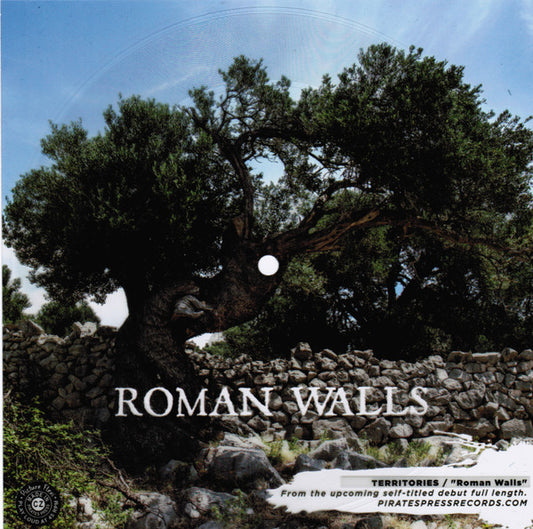 Territories (3) Roman Walls Pirates Press Records Flexi, Single Mint (M) Generic