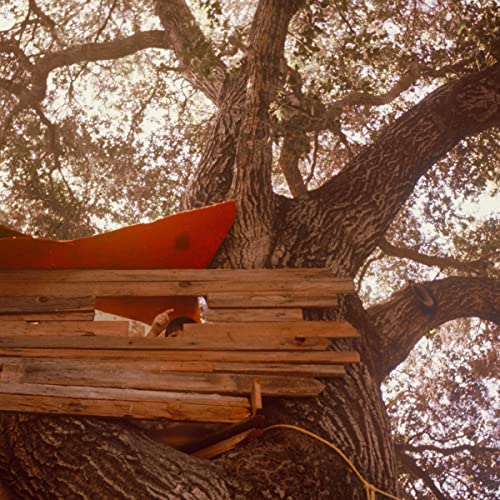 Waiting To Spill [LP] | Mint (M) Mint (M) - ALT/INDIE *NEW*