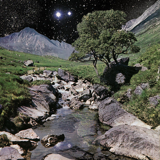The Beta Band (Deluxe Edition)(VINYL) | Mint (M) Mint (M) - ALT/INDIE *NEW*