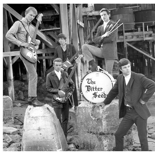THE BITTER SEEDS/THE ROCK SHOP - State of Your Mind |