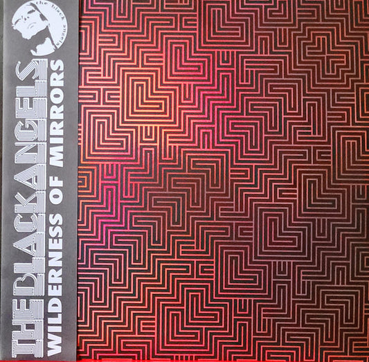 The Black Angels - Wilderness Of Mirrors | Mint (M) Mint (M) - ALT/INDIE