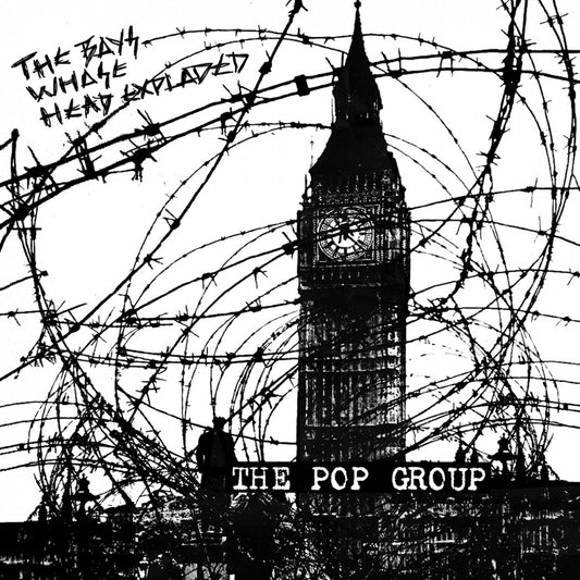 Pop Group, The - The Boys Whose Head Expoloded (CD) |