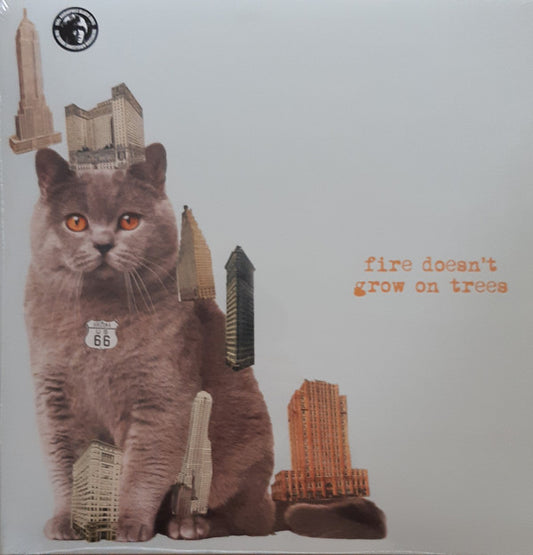 Fire Doesn't Grow On Trees | Mint (M) Mint (M) - ALT/INDIE