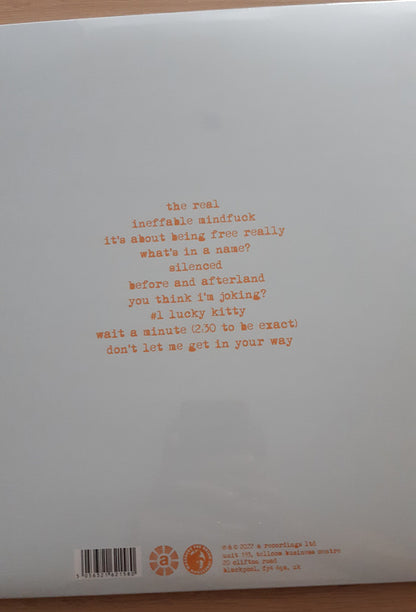 Fire Doesn't Grow On Trees | Mint (M) Mint (M) - ALT/INDIE