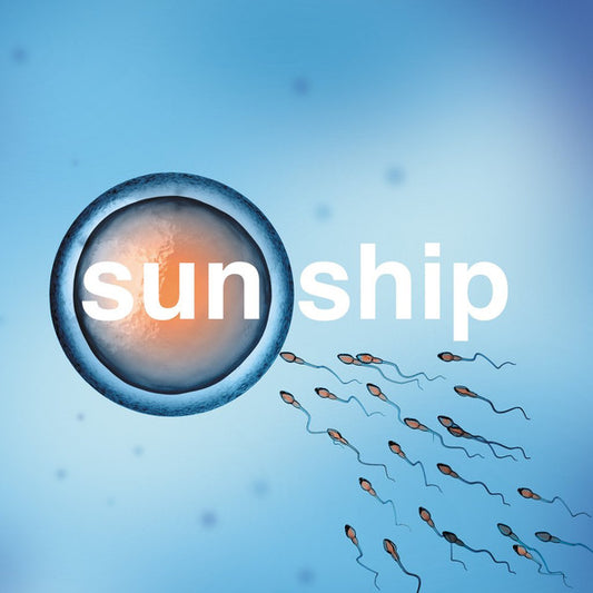 The Sun Ship | Mint (M) Mint (M)