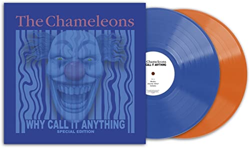 Why Call It Anything (2Lp Coloured Vinyl) |