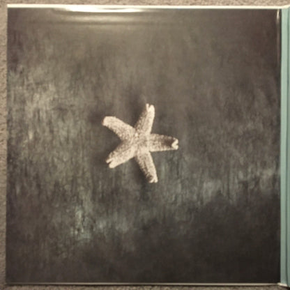 Starfish | Mint (M) Mint (M)