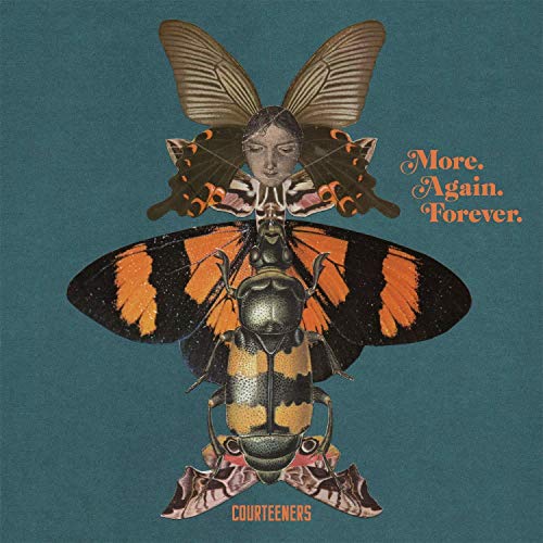 More. Again. Forever. |