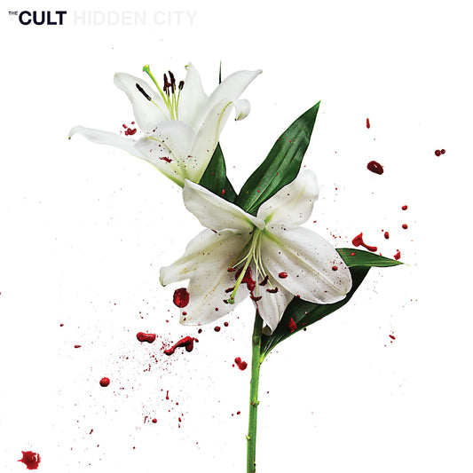 Hidden City (Cv 45 Audiophile Edition) |