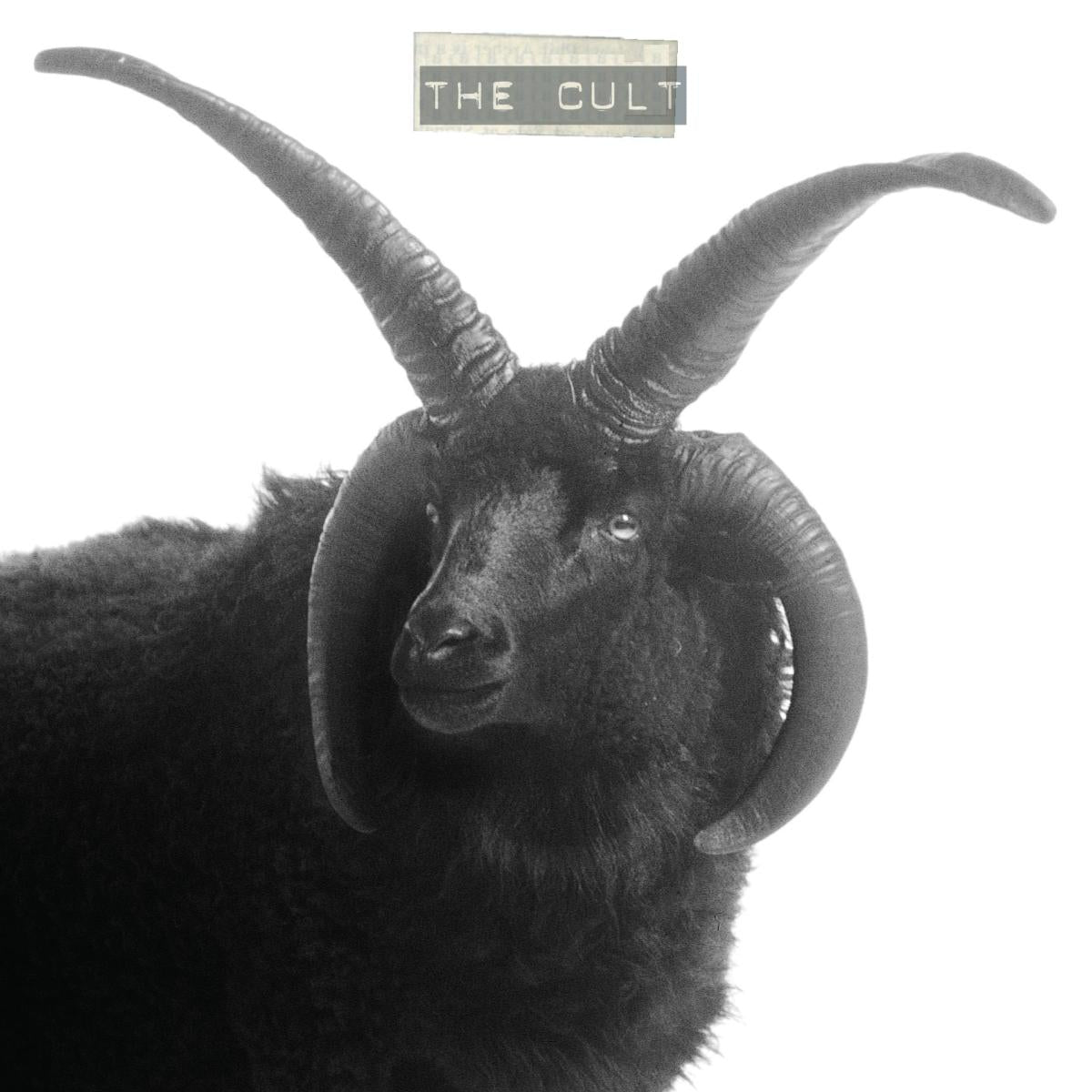 The Cult |