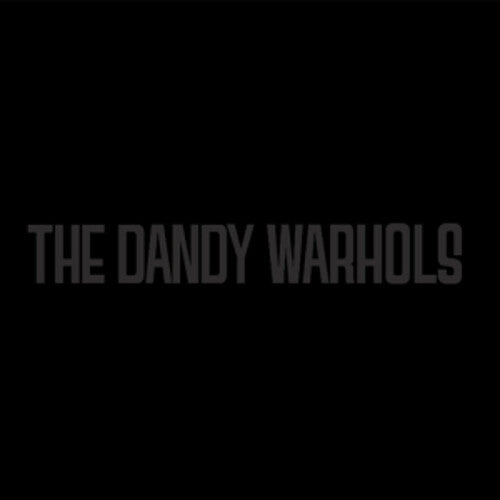 The Black Album [Explicit Content] |