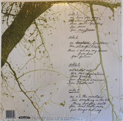 The Glands | Mint (M) Mint (M) - ALT/INDIE *SEALED/COLOR*