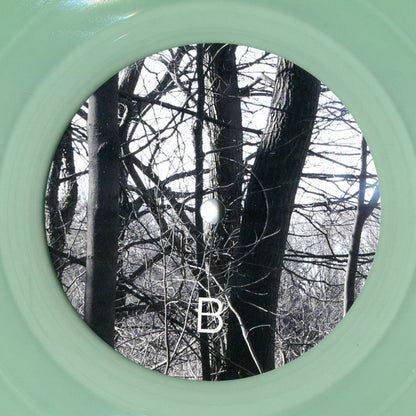 Home On Native Land | Mint (M) Mint (M)