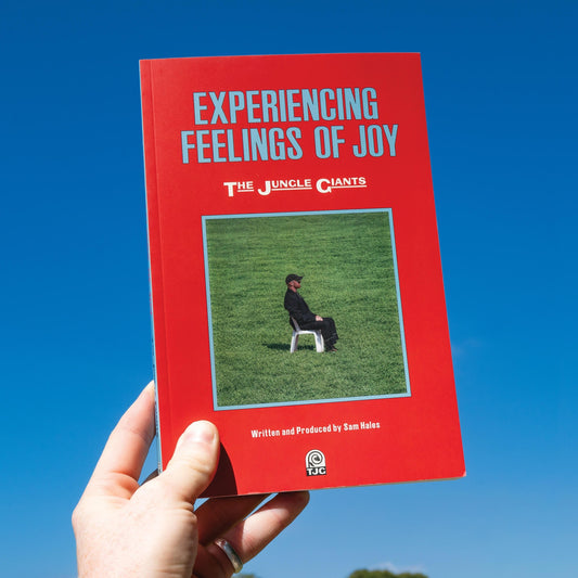 Experiencing Feelings Of Joy |