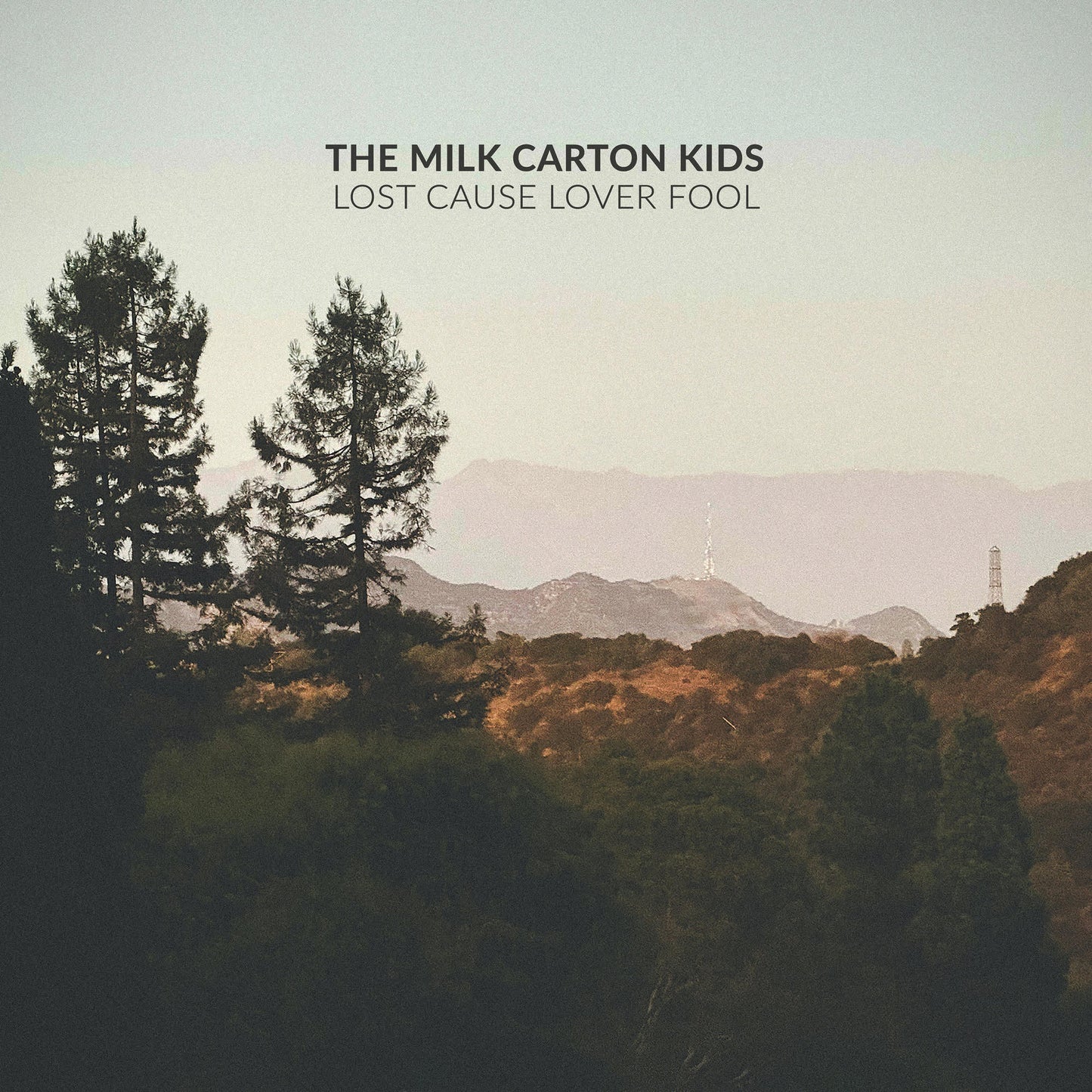 Lost Cause Lover Fool [Standard Black Vinyl] |