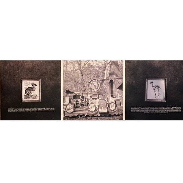 Consolers Of The Lonely | Mint (M) Mint (M) - BLUES