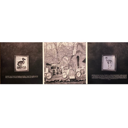 Consolers Of The Lonely | Mint (M) Mint (M) - BLUES