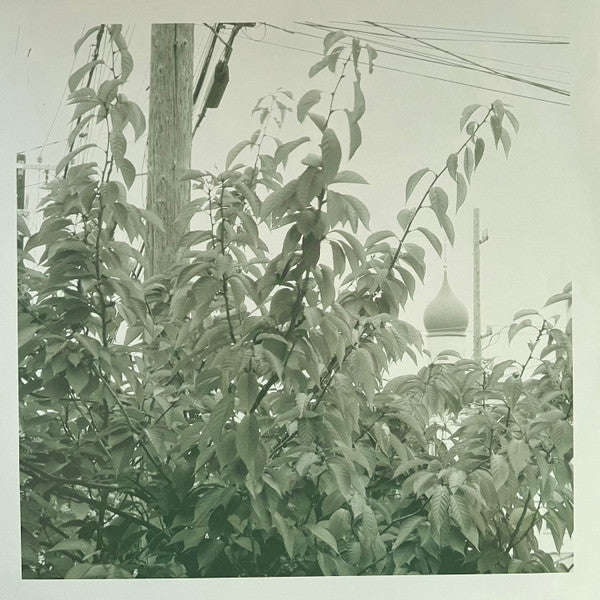 Uncommon Weather | Mint (M) Mint (M) - ALT/INDIE *SEALED/COLOR*