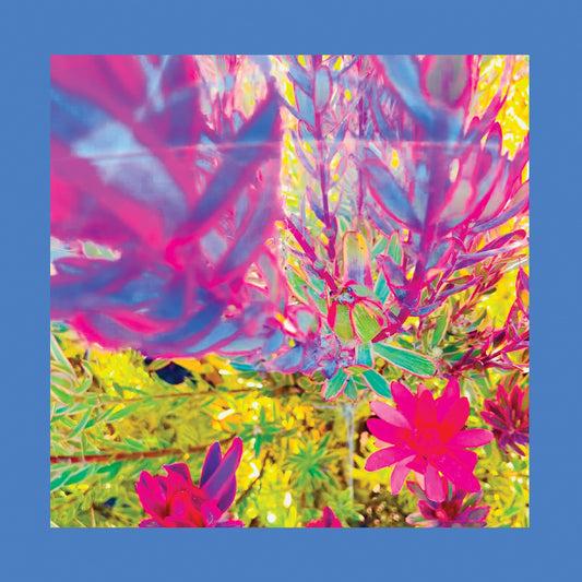 The Past Is A Garden I Never Fed (Neon Pink Vinyl) |