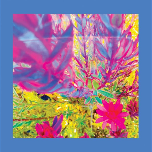 The Past Is A Garden I Never Fed (Sky Blue Vinyl) |