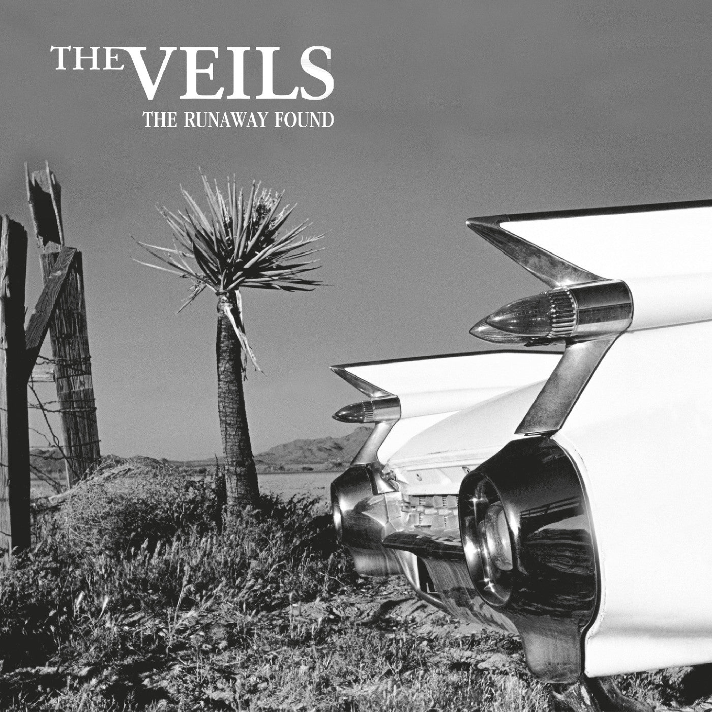 THE VEILS - The Runaway Found |