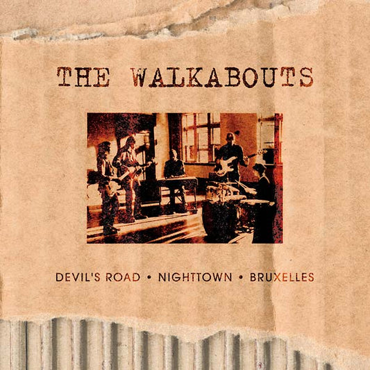 THE WALKABOUTS - The Virgin Years |