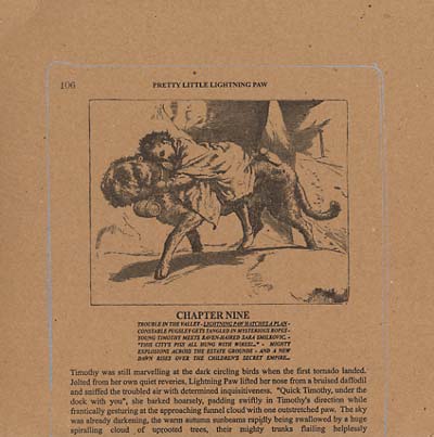 Pretty Little Lightning Paw |