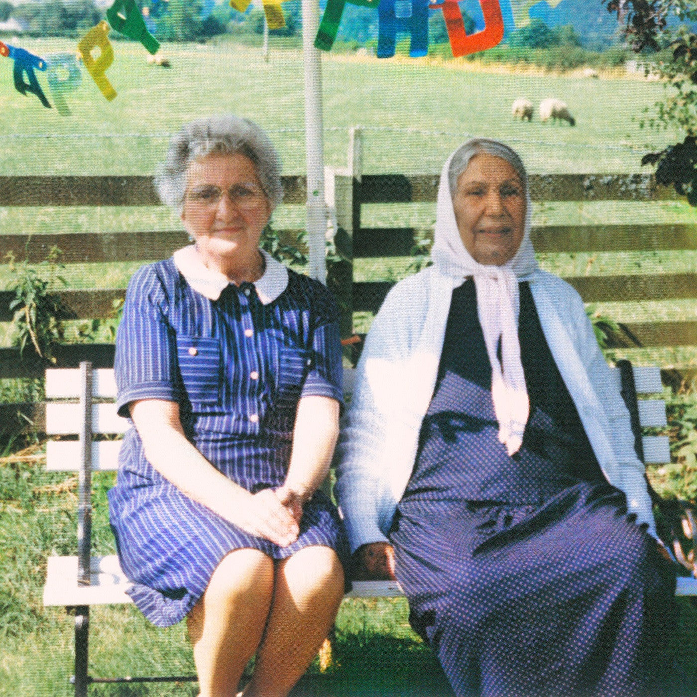Dauwd - Theory of Colours (CD) |