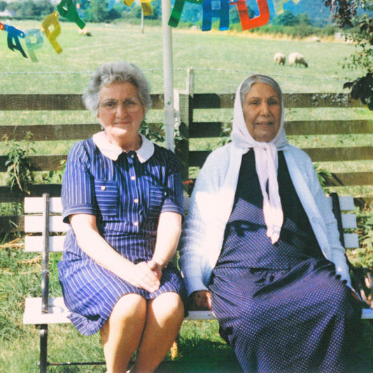 Dauwd - Theory of Colours (CD) |