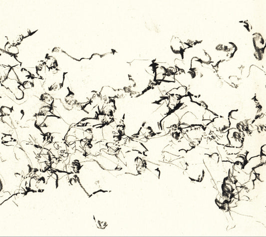 Zorn, John - There Is No More Firmament (CD) |