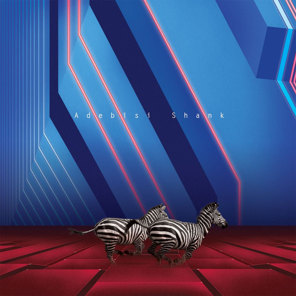 Adebisi Shank - This Is The Second Album Of A Band Called Adebisi Shank (CD) |