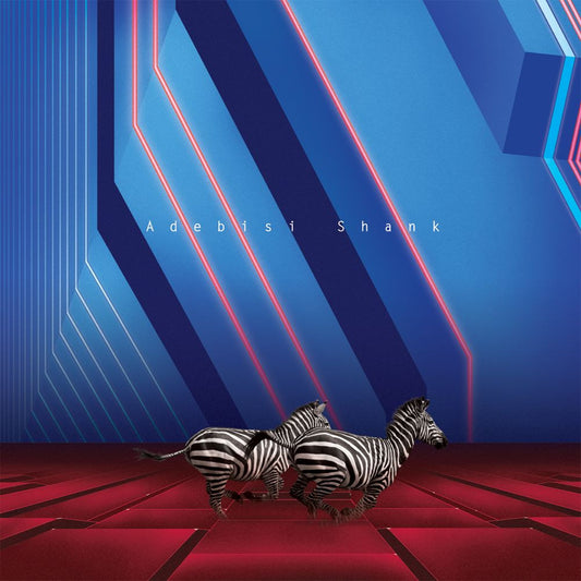 Adebisi Shank - This Is The Second Album Of A Band Called Adebisi Shank (CD) |