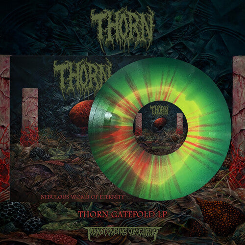 Nebulous Womb Of Eternity [Color Vinyl] |