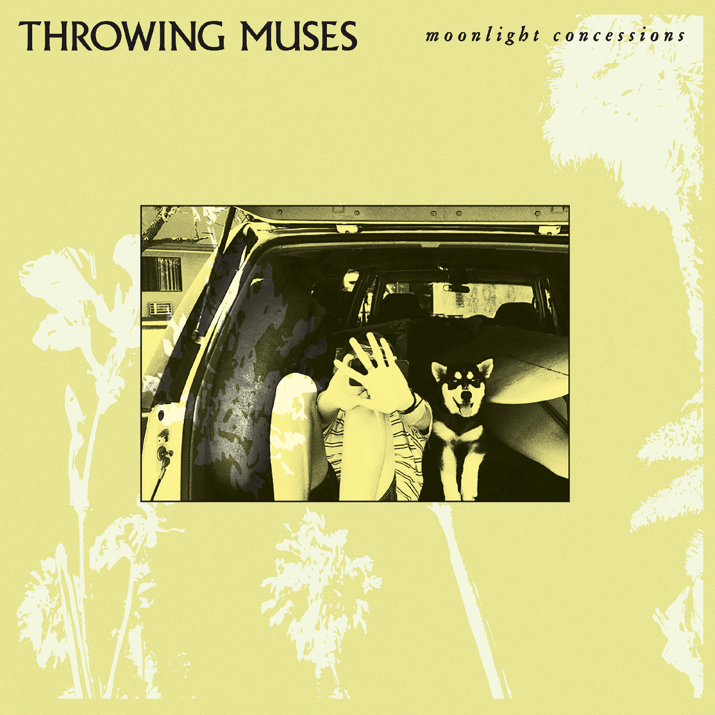 Moonlight Concessions (Cream Vinyl) |