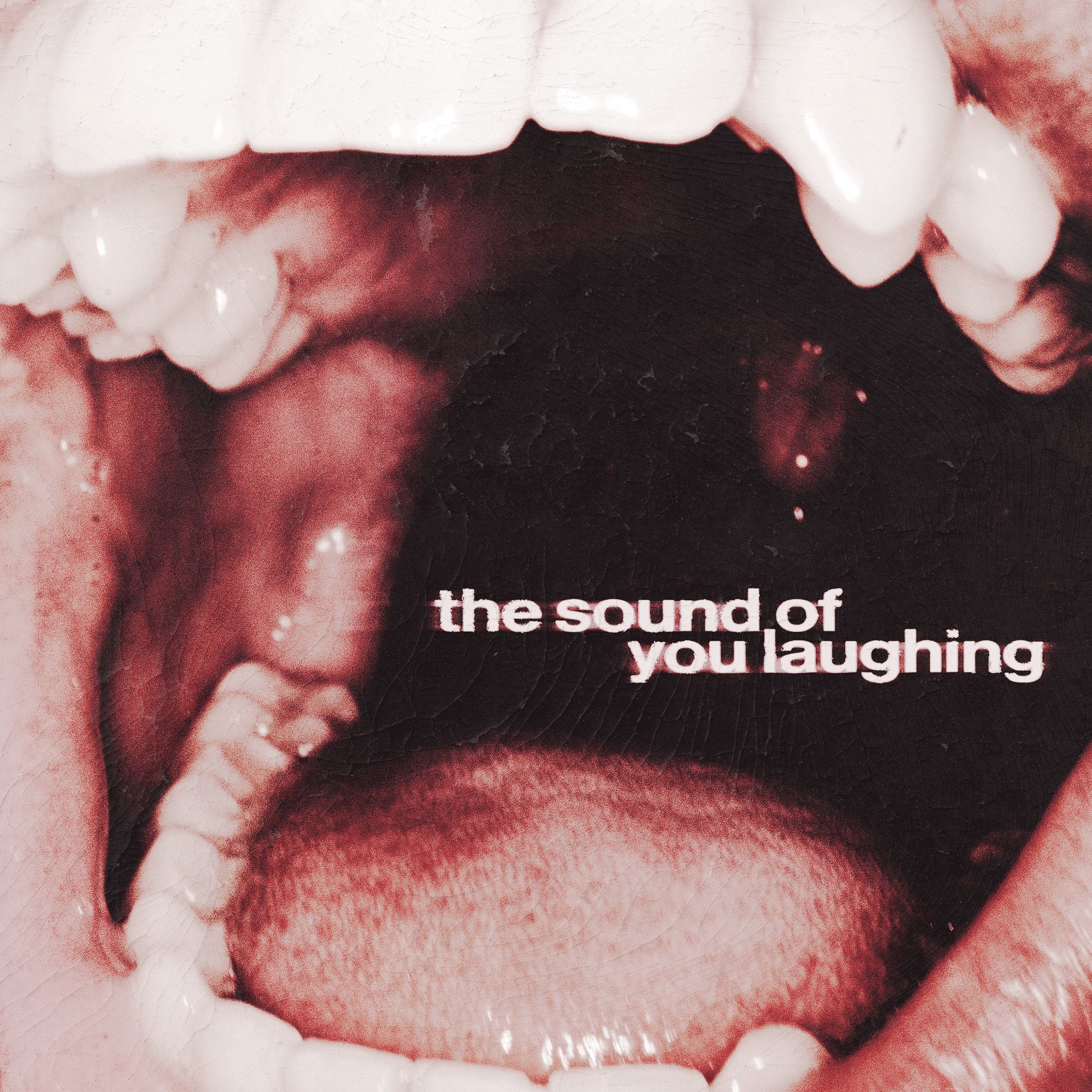 The Sound Of You Laughing [CD] |