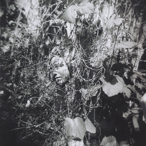 Now Is The Last Best Time |