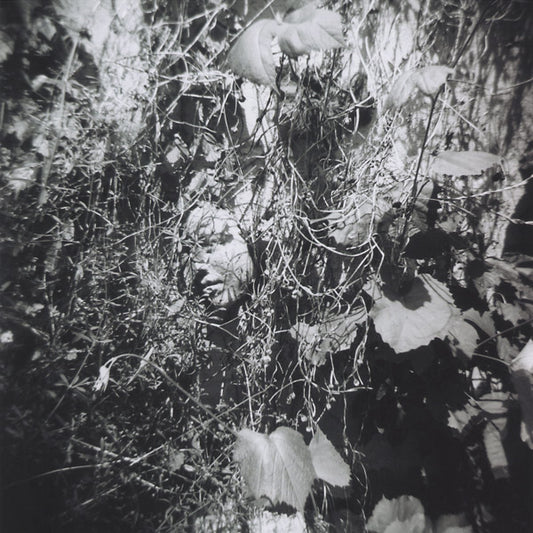 Now Is The Last Best Time |