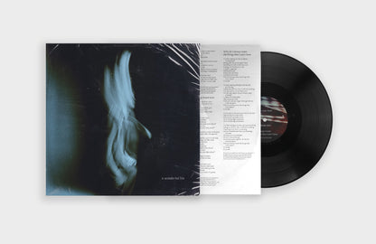 A Wonderful Life (Black Vinyl) |