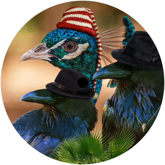 Tom Ries / Birdsmakingmachine Bird Gang Slowdy Mowdy 12", EP Mint (M) Generic