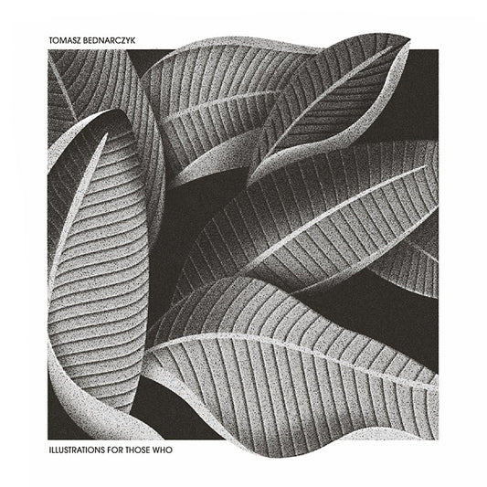 Illustrations For Those Who |