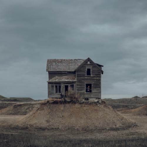 Tommy Lefroy - The Precariat [Black LP] |