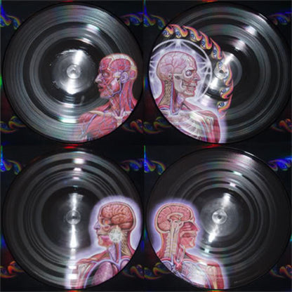 Lateralus | Mint (M) Mint (M) - METAL *PICTURE DISC*