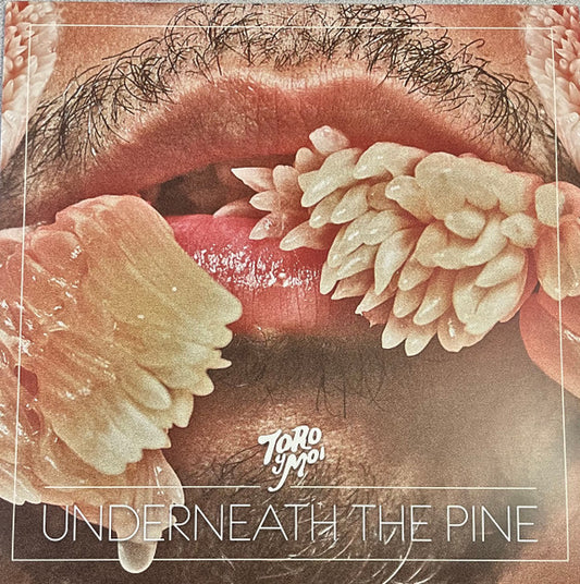 Toro Y Moi - Underneath The Pine | Mint (M) Mint (M) - SYNTH-POP *COLOR*