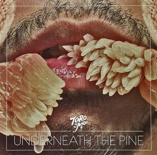 Underneath The Pine | Mint (M) Mint (M) - DOWNTEMPO *SEALED*