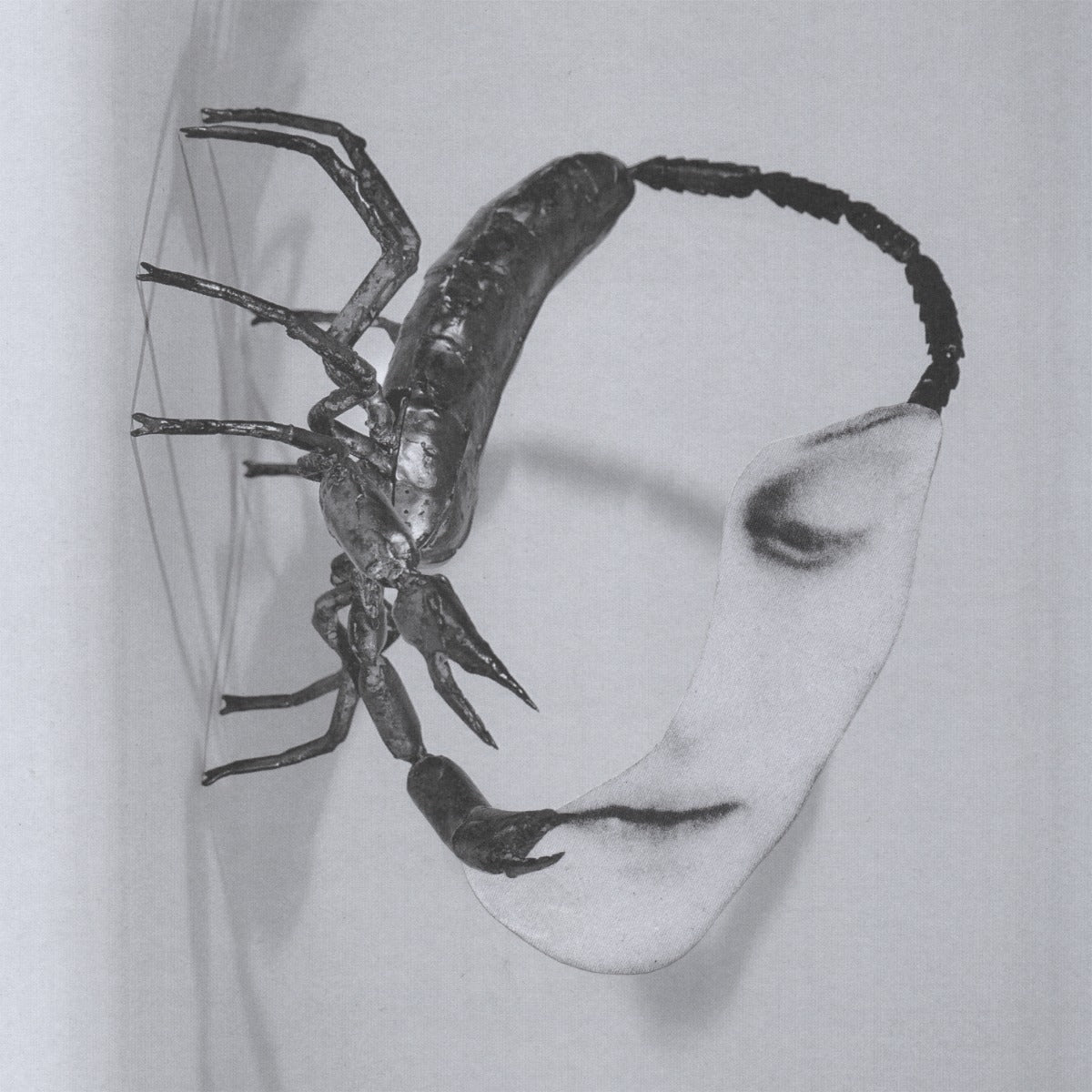 Touch [CD] |