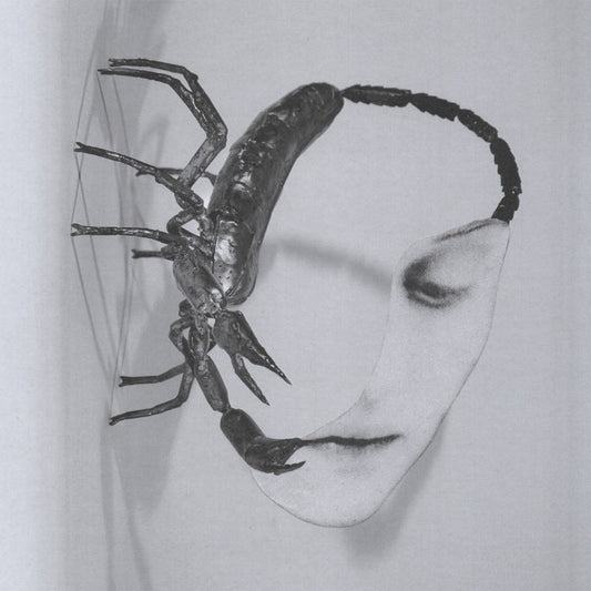 Touch [CD] |