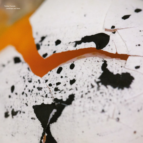 TOSHIYA TSUNODA - Landscape and Voice |