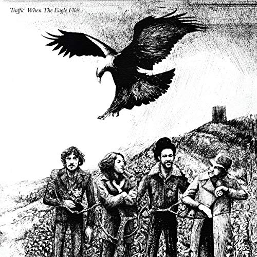 When The Eagle Flies (Remastered, 180 Gram Vinyl) |
