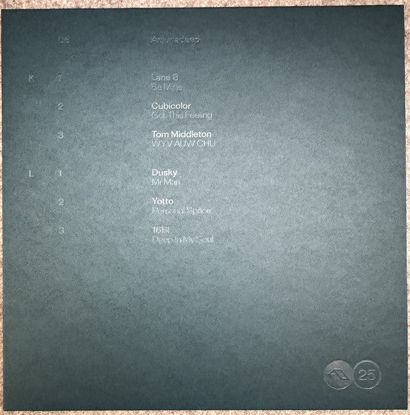 Anjuna25 Anniversary Box Set (VINYL BOX) | Mint (M) Mint (M) - TRANCE *NEW*