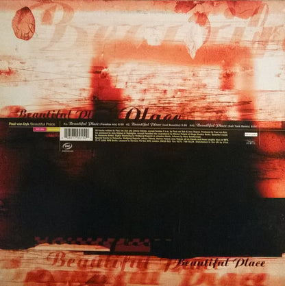 Beautiful Place (Salt Tank Remix)(VINYL) | Excellent (EX) Excellent (EX)